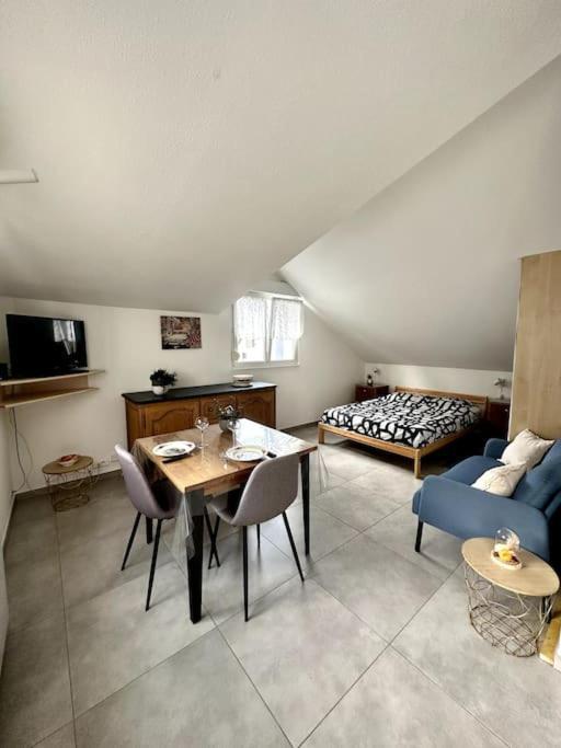 Studio Tout Equipe Aux Pieds Des Vosges Leimbach Exterior photo